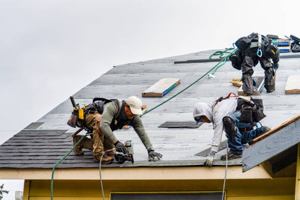 Professional Emergency Roof Repair technician working in Lackawaxen, PA